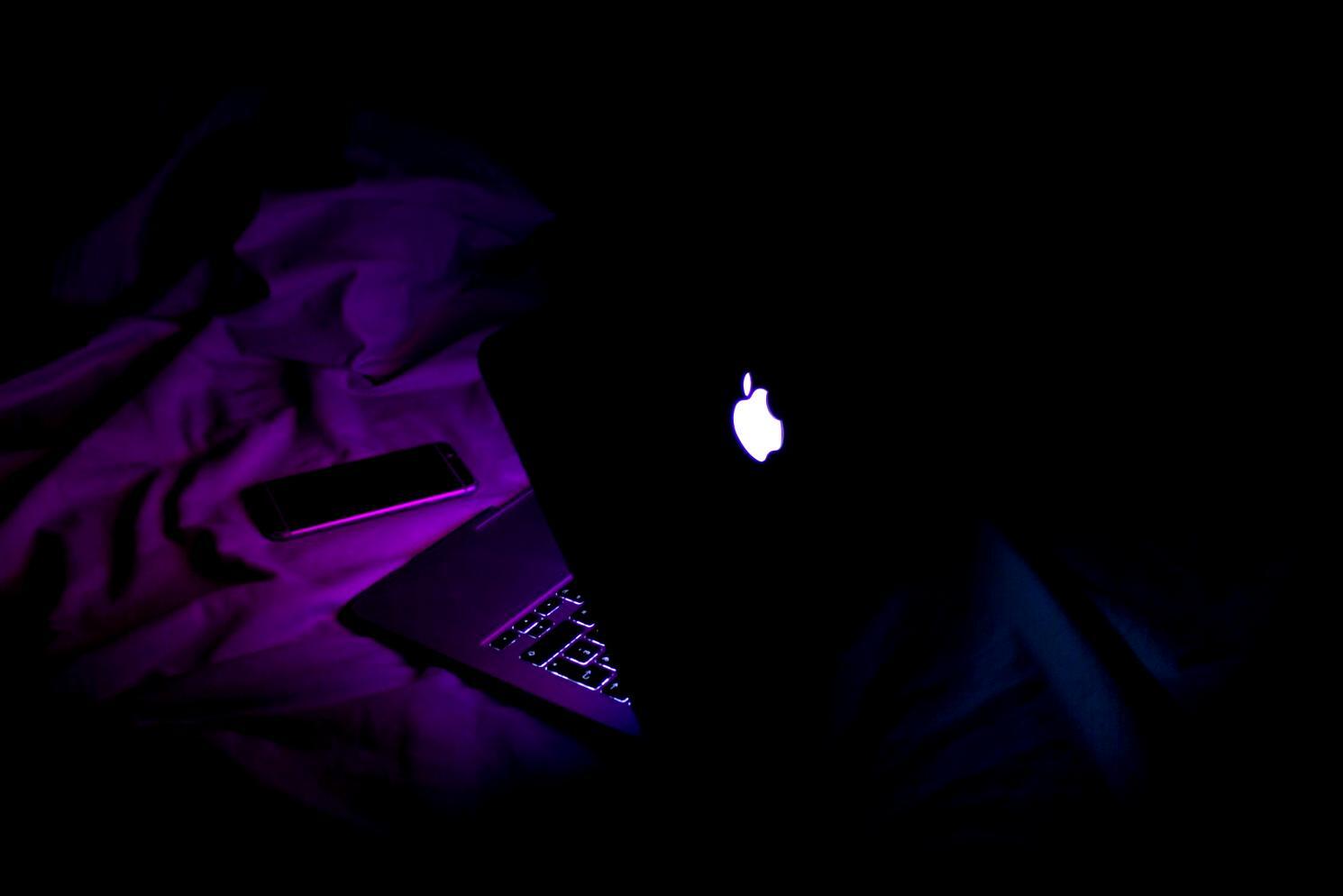 Detailed financial analysis and budget optimization